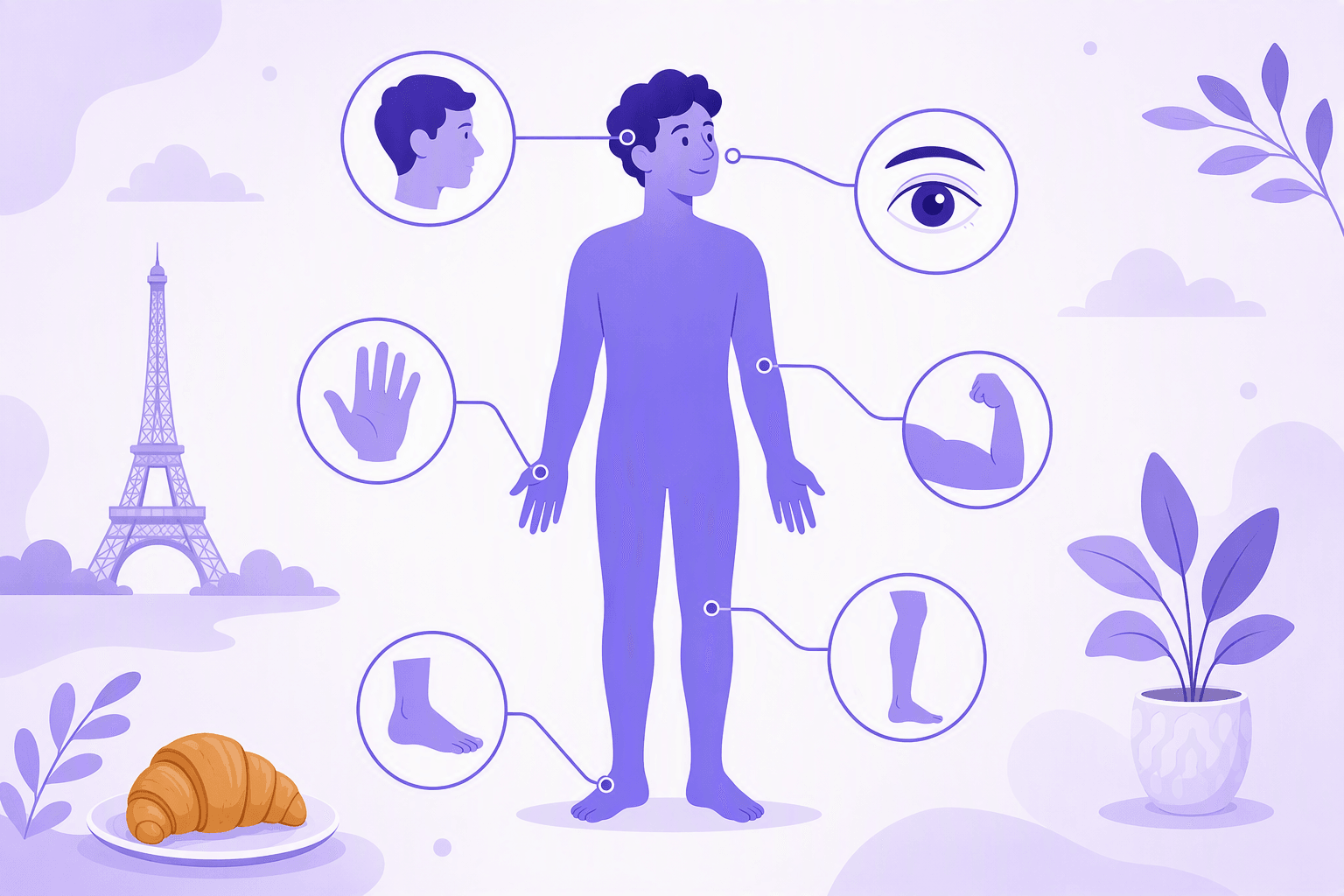 Illustrated French body parts diagram with a stylized figure and icons for head, eye, hand, arm, leg and foot