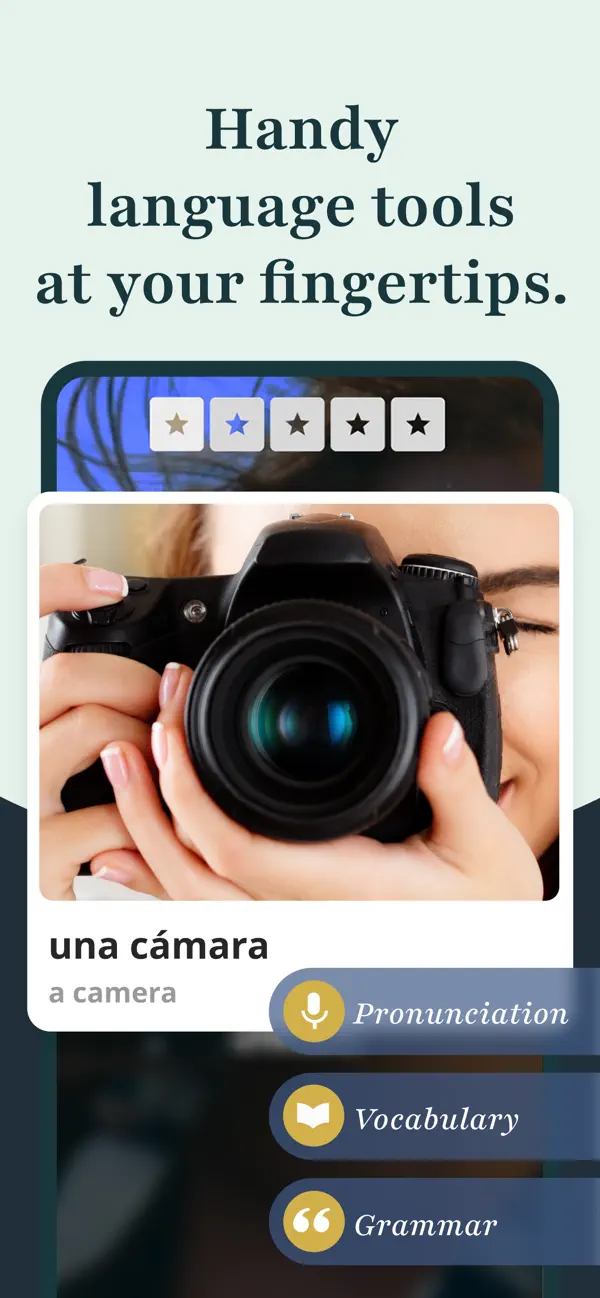 Rosetta Stone screenshot 5